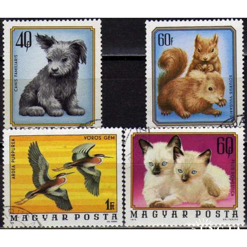 Венгрия 1974 Фауна Животные Птицы Собаки Кошки Белки Серия