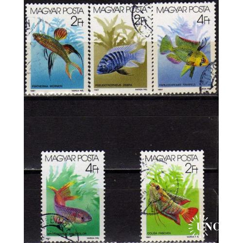 Венгрия Фауна Морские обитатели Рыбы 1987 Полная Серия