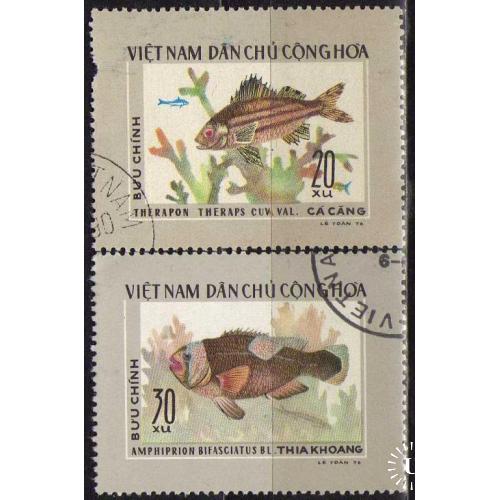 Вьетнам Фауна Морские обитатели Рыбы 1976 Пара