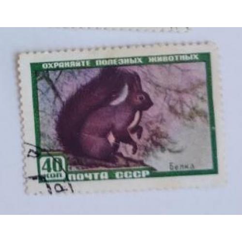 1959  Фауна СССР Охраняйте полезных животных марка  Белка обыкновенная