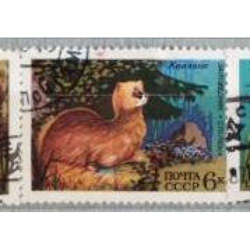 СССР 1975 марка Колонок Куница. Ласка. Хищники. Мыши. Заповедник Столбы 2 