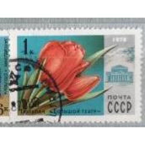 СССР 1978 марка  флора Тюльпан Большой театр