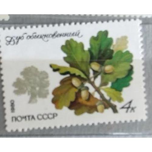 СССР 1980 марка  Дуб обыкновенный 