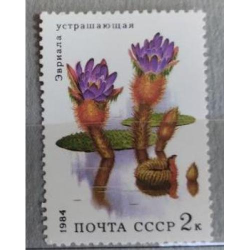 СССР 1984 марка из серии марок Водные растения Эвриала Устрашающая