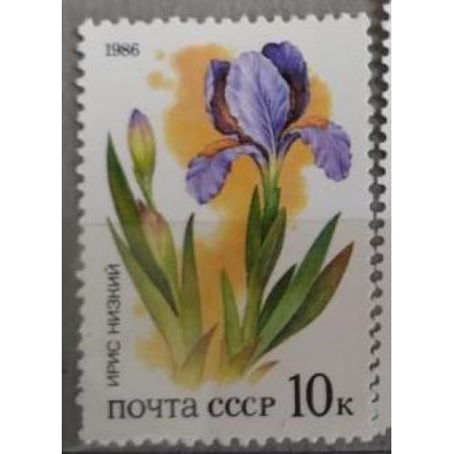 СССР  1986 Ирис низкий Красная книга СССР. Степные растения 
