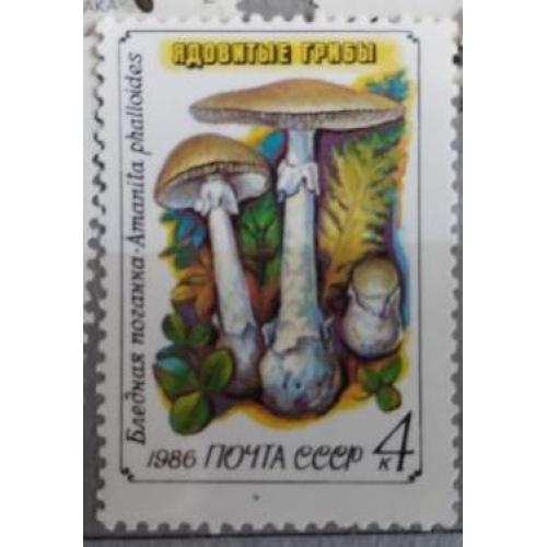 СССР 1986 из серия марок Ядовитые грибы Бледная поганка