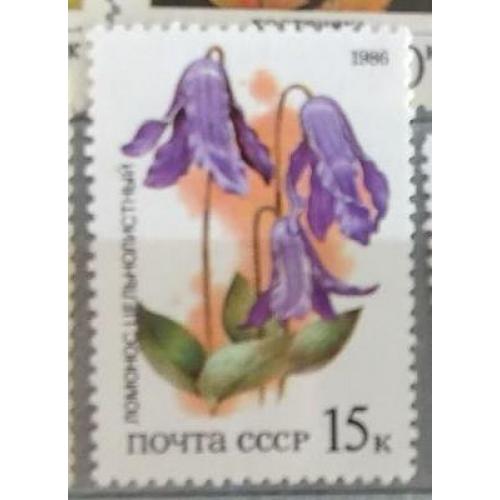СССР 1986 марка ЦЕЛЬНОЛИСТНЫЙ ЛОМОНОС ИЗ СЕРИИ СТЕПНЫЕ РАСТЕНИЯ, ЗАНЕСЕННЫЕ В КРАСНУЮ КНИГУ СССР