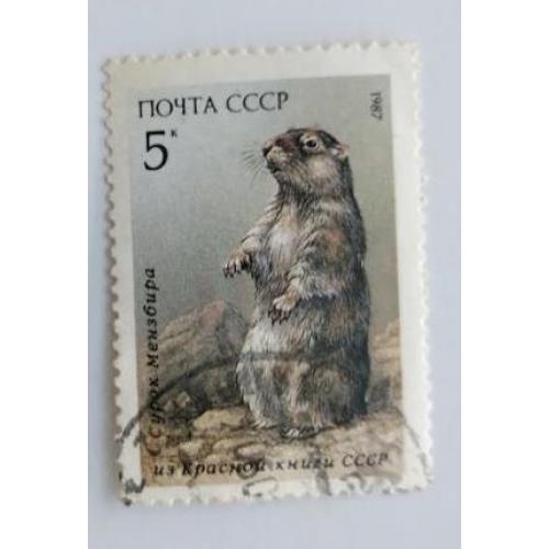 СССР 1987 из серии марок Млекопитающие, занесенные в Красную книгу Сурок