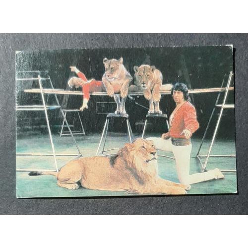 Календарик Цирк 1985