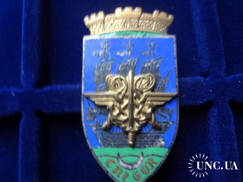 ФРАНЦИЯ полковой знак ’’Нац. медицинский учебный центр’’ Centre National d'Instruction des EOR