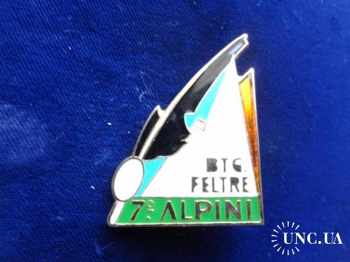 Франция значек ’’Общество поддержки 7 альпийского батальона’’ BTG. Feltre 7 Alpini