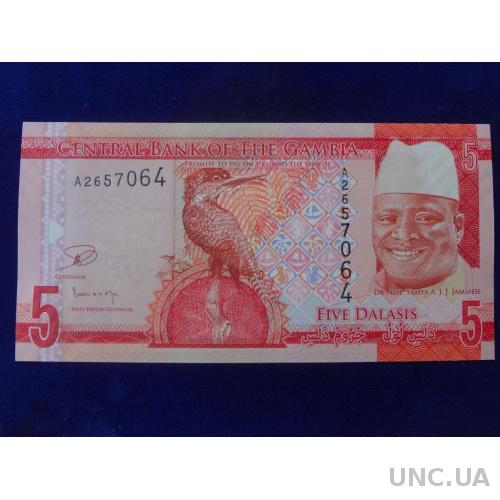 Гамия 5 даласи 2015 идеальные АНЦ Яйя Джамме и Гигантский пегий зимородок