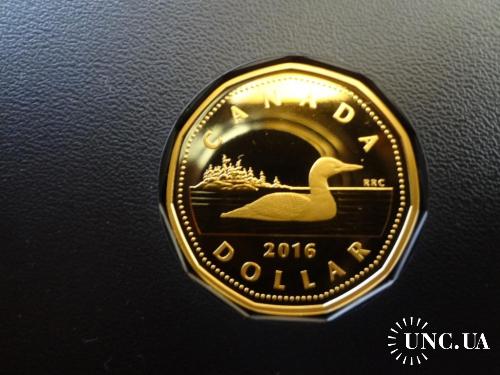 Канада 1 доллар ’’Луни’’ 2016 полярная утка - черноклювая гагара. серебро, позолота Пруф