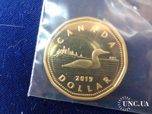Канада 1 доллар ’’Луни’’ 2019 полярная утка - черноклювая гагара. серебро, позолота Пруф