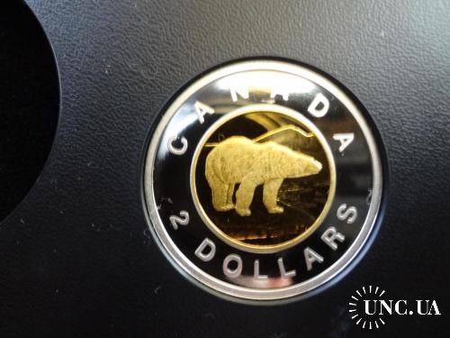 Канада 2 доллара 2013 Полярный медведь серебро с позолотой 9,0 гр. Пруф