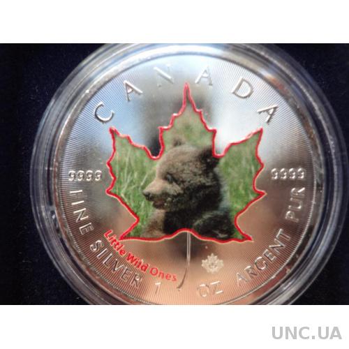 Канада 5 долларов серебро 2016 Медвежнок гризли, колоризированая с сертификатом и чехлом