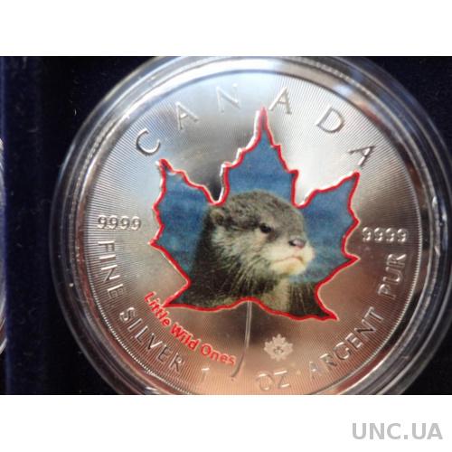 Канада 5 долларов серебро 2016 Норченок детеныш норки, колоризированая с сертификатом и чехлом