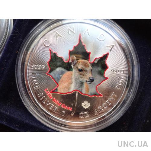 Канада 5 долларов серебро 2016 Олененок, колоризированая с сертификатом и чехлом