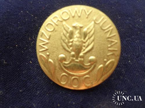 Польша значек "Отличный новичек /юниор Союза молодежи"