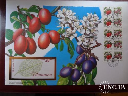 Швеция  2,80 кроны 1994, 10 шт. Слива Виктория: Пломмон - цветок и плод. Конверт первого дня
