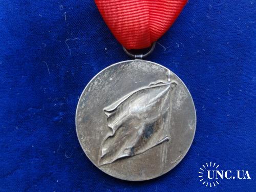 Швейцария медаль представителя государственной Военной инспекции 1931