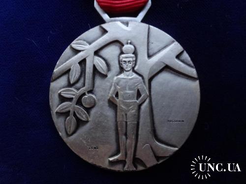 Швейцария стрелковая медаль 1964 междукантональный турнир. Сын Тиля ждет выстрел
