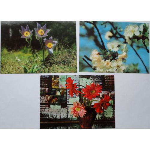 Открытка цветы Болгария 1980-е гг. Чистая. 3 шт. набор Б07