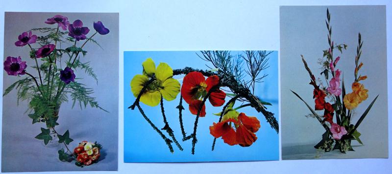 Открытка цветы Польша 1980-е гг. Чистая. 3 шт. набор П02