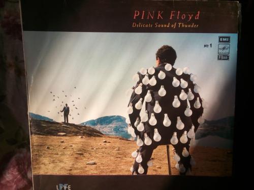 Виниловая пластинка Pink Floyd “Delicate sound of thunder”