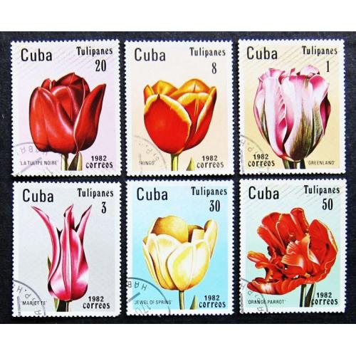 Марки Кубы 1982 г. Цветы. Тюльпаны.