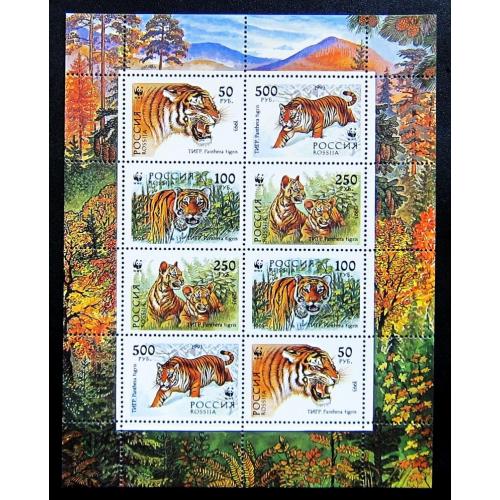Марки России 1993 г. Уссурийский тигр. (Лист). MNH
