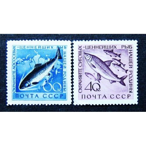 Марки СССР 1960 года. Охрана ценных рыб и морских животных. MNH