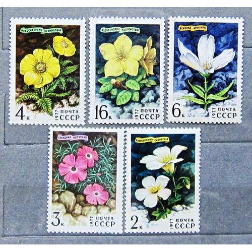 Марки СССР 1977 года. Цветы гор Сибири. MNH