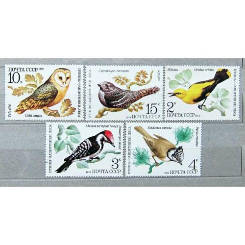 Марки СССР 1979 года. Птицы - защитники леса. MNH