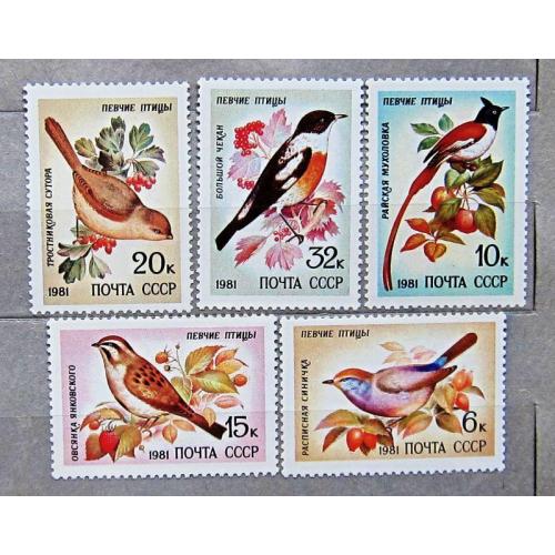 Марки СССР 1981 года. Певчие птицы. MNH