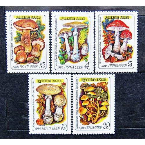 Марки СССР 1986 года. Ядовитые грибы. MNH