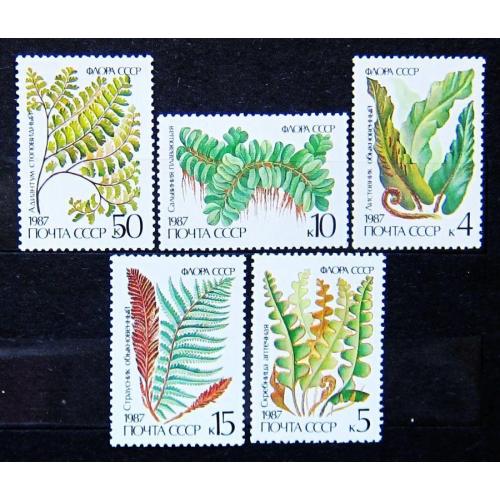 Марки СССР 1987 года. Флора. Папоротники. MNH