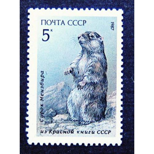 Марки СССР 1987 года. Млекопитающие, занесенные в Красную книгу СССР. MNH