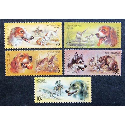 Марки СССР 1988 года. Отечественные породы охотничьих собак. MNH
