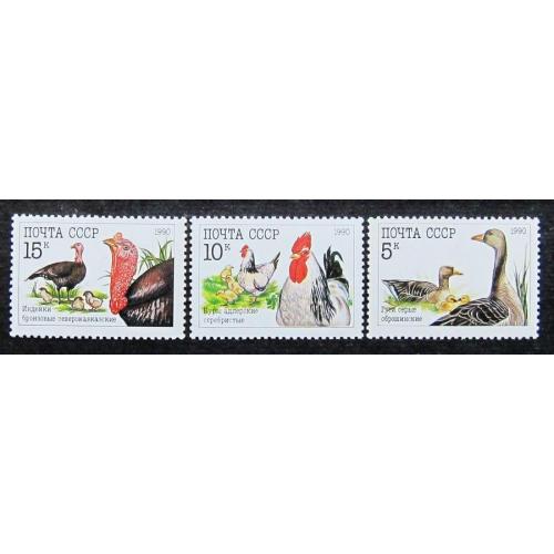 Марки СССР 1990 года. Домашние птицы. MNH