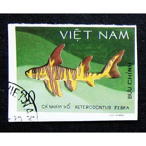 Марки Вьетнама 1980 г. Зебровидная бычья акула.