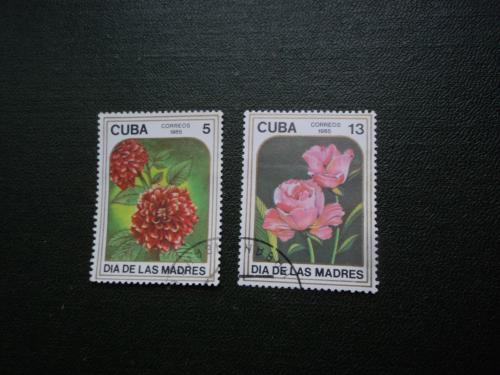 Куба. Флора. Цветы.