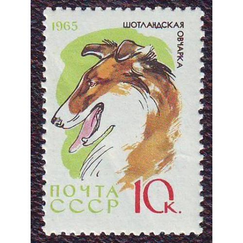  СССР 1965 Фауна Шотландская овчарка  Негашеная