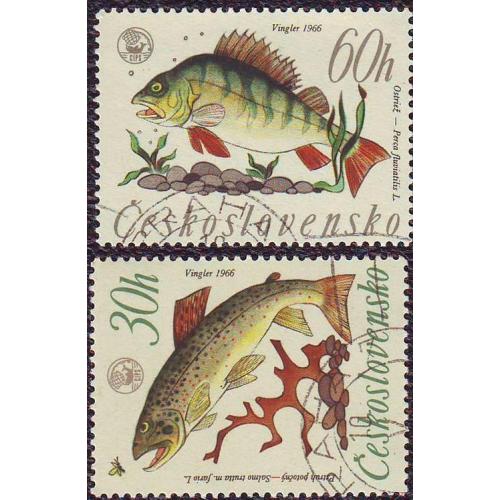   Чехословакия 1966 Фауна  Животные  Рыбы