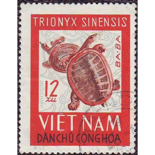 Вьетнам 1966 Фауна  Рептилии Удлиненная черепаха