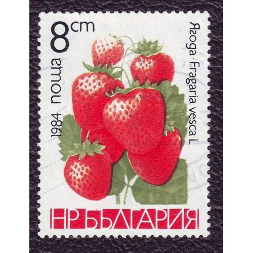  Болгария 1984 Флора Плоды Ягода