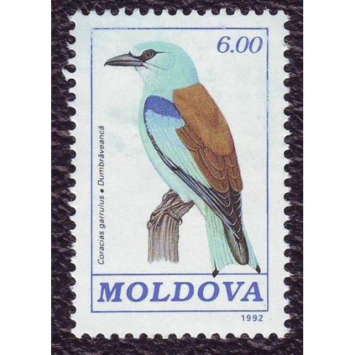   Молдова 1992 Фауна Птицы   Негашеная