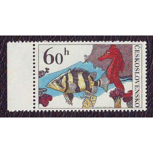   Чехословакия 1975 Фауна  Аквариумные  рыбы