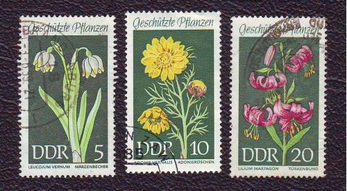  Германия 1969  Флора Цветы Серия 