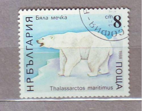  Болгария 1988  Фауна Белый медведь